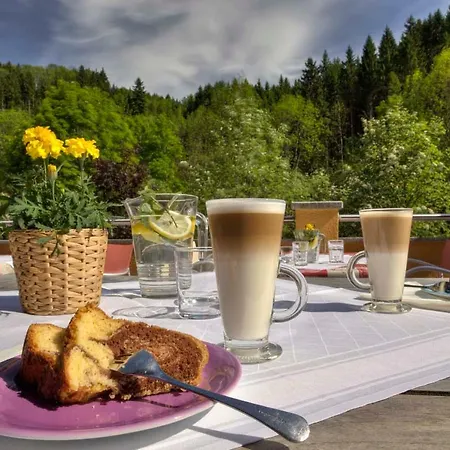 Bruckwirt***s Hotel